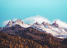 开云官网：以用户为中心的数字信任入口