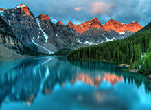 乐鱼体育app：引领你的专属体育新体验